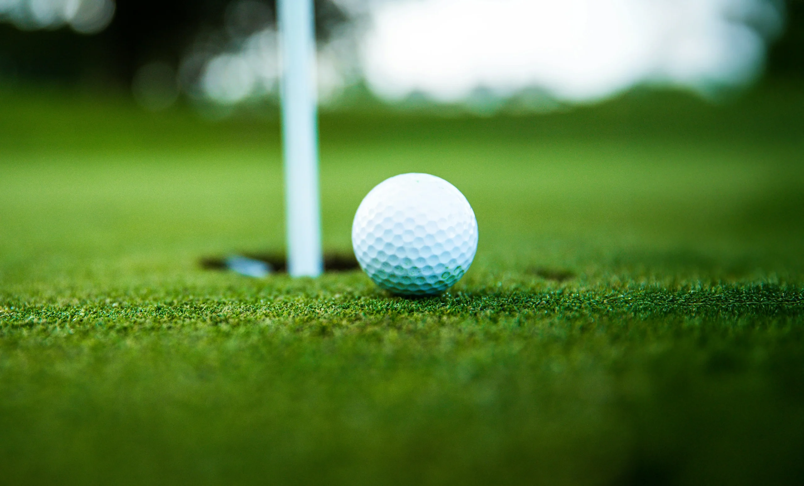 Golf Ball In Field